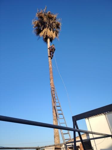 Trabajo 2