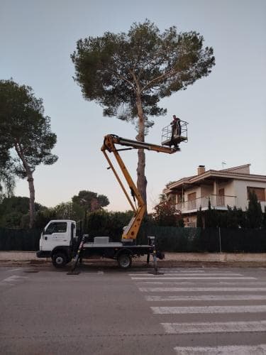 Trabajo 8