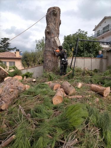 Trabajo 10